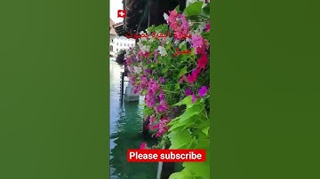 سورة البقرة بصوت جميل#bakara #subscribe #fatiha #quran #viral
