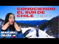 EXTRANJERA conoce el sur de CHILE parte II   SUBI EL VOLCAN SOLLIPULLI Y NO CREERAS LO QUE PASO.