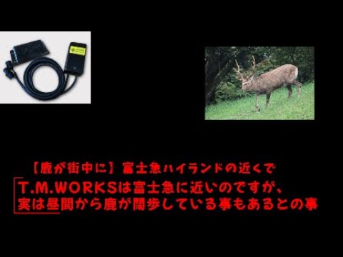 【鹿ソニック】取り付けはDIYでも可能、塩害地域はスピーカーが消耗品カモ？　あと今は街中の日中でも鹿が出るので当たったら一発廃車も