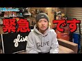 今年のルーシーは“あなたの選択”で決まる!推しカラー5色、ガチ投票お願いします!