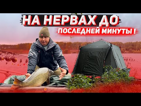 ВАЛИДОЛЬНЫЙ КАРПФИШИНГ ОСЕНЬЮ. Турнир, в котором ВСЕ решила одна рыба.