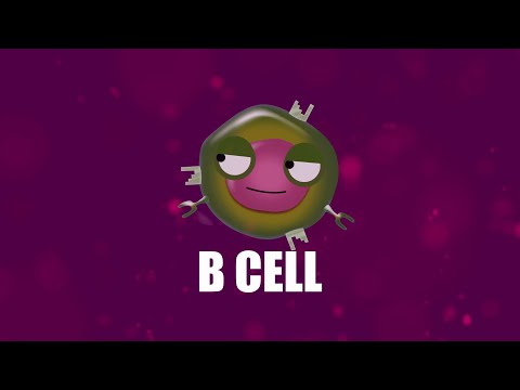 Supercytes - How