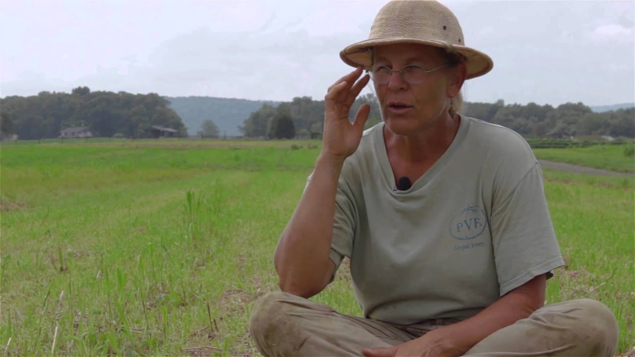 The “Vacation Year” Cover Crop Rotation at Potomac Vegetable Farms