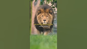 My father once told me if your tired learn to take rest not to quit. #shorts #viral #motivation