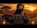 Habibi Ya Nour El Ein Amr Diab Arabic Afro Tech House 2026 Vol 2 Club Remix 