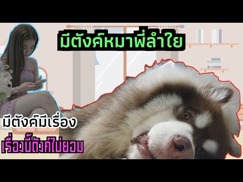 #ลำไยไหทองคำ มีตังค์หมาพี่ลำไยEP2มีตังค์มีเรื่อง เมื่อมีตังค์โมโหจะเป็นไง????