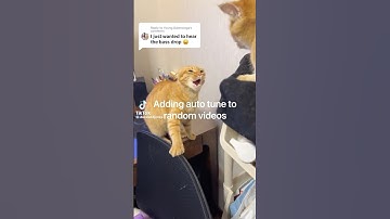 Adding auto tune to random videos part 5.