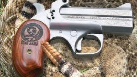 Cover Image for The Snake Slayer by Bond Arms