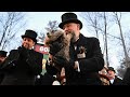 День сурка: Панксатони Фил предсказывает еще шесть недель зимы