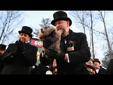 День сурка: Панксатони Фил предсказывает еще шесть недель зимы
