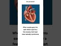 intresting facts about heart