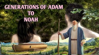 Generations Of Adam To Noah