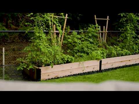 Brie's Planter - Toja Grid