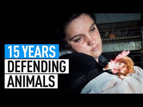 Celebrating 15 Years of Activism for Animals!