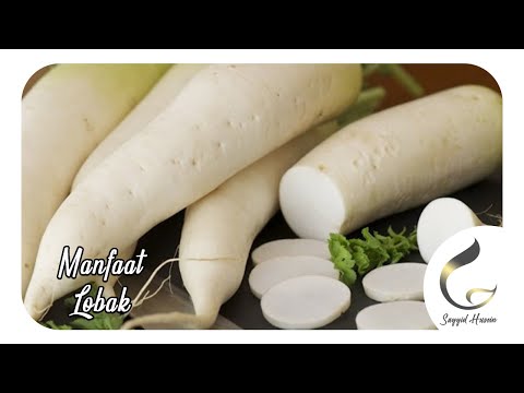 Video: Daikon - Lobak Jepang: Khasiat Bermanfaat, Penaburan Dan Perawatan