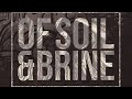 DEPTHS - Of Soil &amp; Brine (Remixed &amp; Remastered)