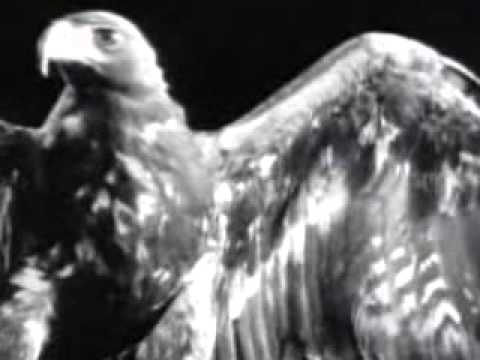 Putar Come See What Love Has Done - Seal