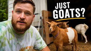 Why Goats Won't Fix the Invasive Plant Problem