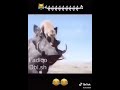 قناة حوريه الشراري