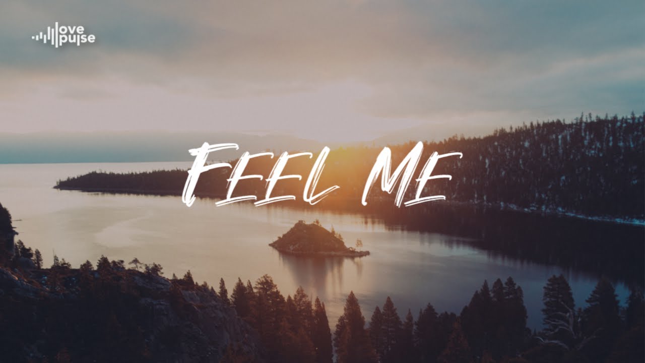 Feel Me -Beat With Hook - DJPain1 -Breana Marin