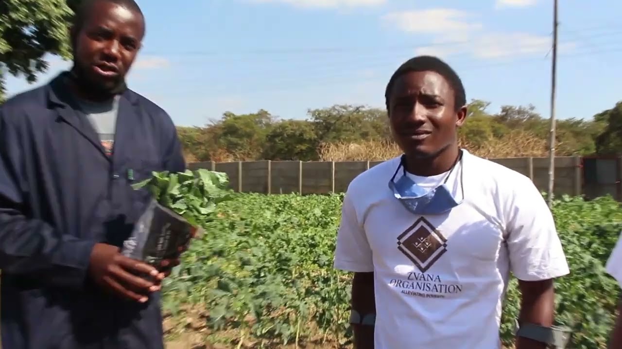 Zvana Organization visit to the Jairos Jiri Association