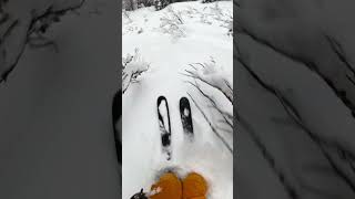 The more interesting valley run #freeride #pov #freeriding #ski #skiing #snow #alps #mountains