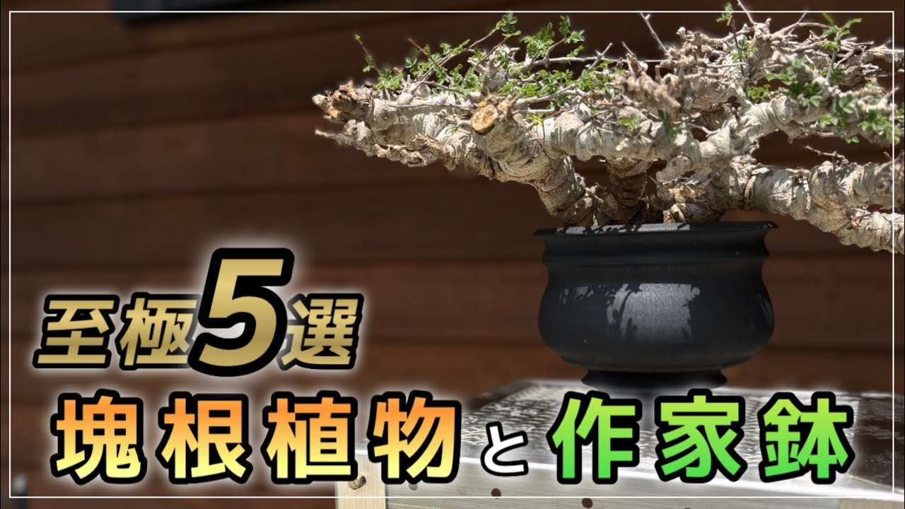 Katachi Seisakusho/Masami Miyajima] Absolutely sublime. The charm