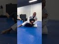 Straight Armlock from Mount #jiujitsu #bjj #brasil #subscribe #active #pressure