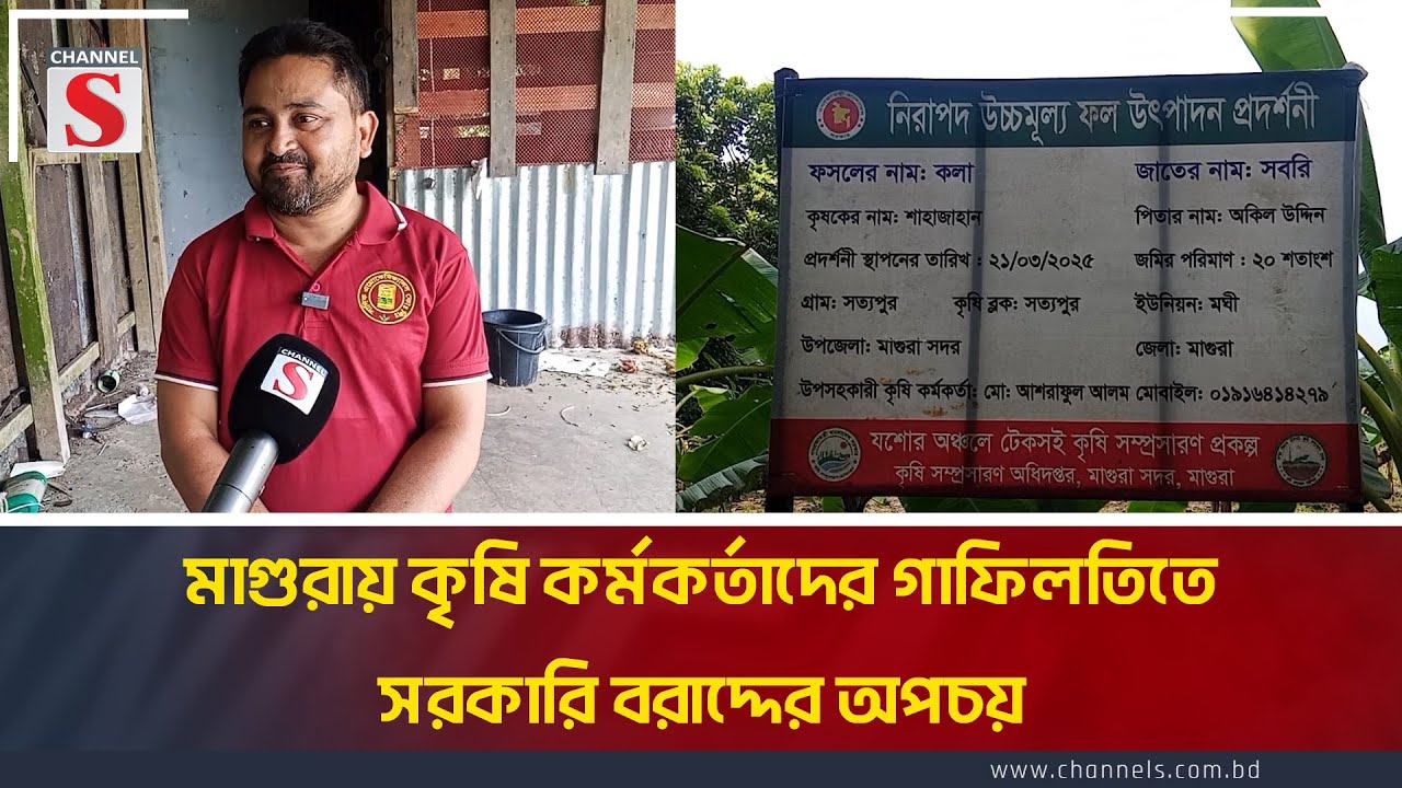 মাগুরায় কৃষি কর্মকর্তাদের গাফিলতিতে সরকারি বরাদ্দের অপচয় | Magura | Carelessness | Channel S News