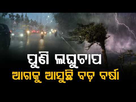 ପୁଣି ଲଘୁଚାପ ଆଗକୁ ଆସୁଛି ବଡ଼ ବର୍ଷା || Odisha || Weather || Odia News || Rain Odisha || DinalipiLive