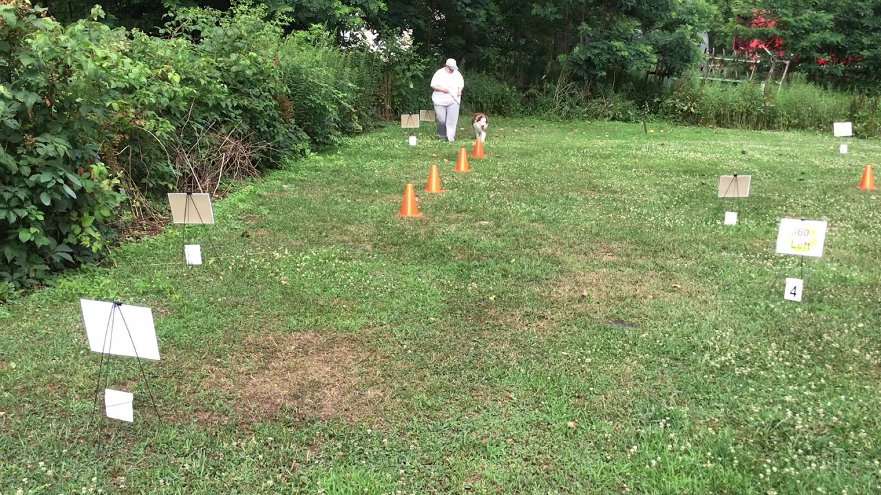 Novice Rally Course #4 - YouTube