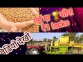 gehun Ki fasal Mein Lakhon rupaye Ka Sona utpadan गेहूँ है या सोने का उत्पादन खेती की पुरी जानकारी🙏