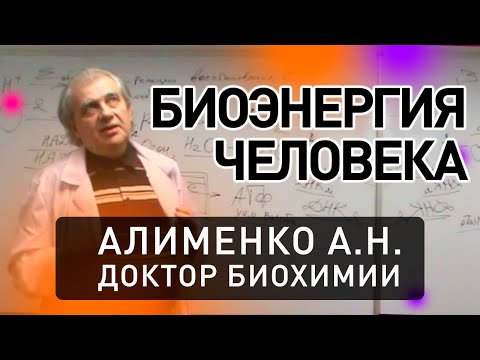 Биоэнергетика человека  (А.Н. Алименко)