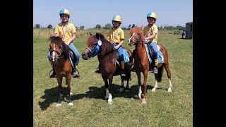 Il Club Ippico Senese In Gara