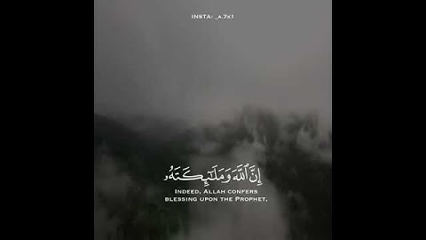 حالات واتس قران كريم بصوت عمر الدريويز 😴🍃❤️اجمل حالات واتس اب دينيه تلاوة تطمئنّ آلقلوب ❤️