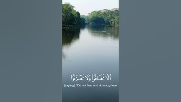ايات القرآن الكريم - حالات واتساب #المصحف #راحة_نفسية #اكسبلور