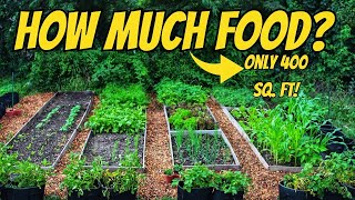 1 Year Of Growing Food In Our 400 Square Foot Garden
