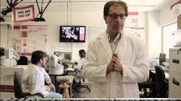 The Initiative - Talos Station