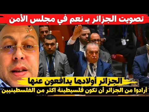 الشبل الجزائري تصويت الجزائر في مجلس الأمن أرادوا من الجزائر أن تكون فلسيطينة اكثر من الفلسطينيين