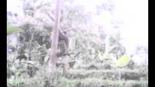 sunggokong vs sunggiking perang dunia ke 2