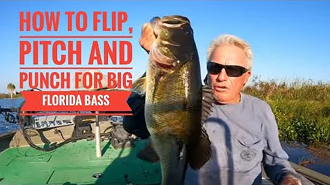 How to flip, pitch and punch thick mats for big Florida bass