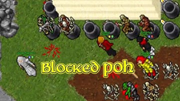They Blocked POH Temple! (Hiberna 2006 - RL Tibia 7.6) Akali Mahmut