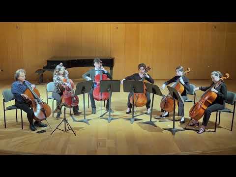 Josquin: Praeter rerum seriem, Matt Haimovitz, Cello