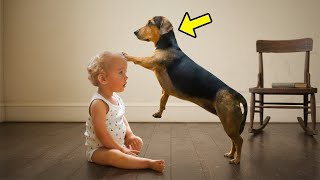 The Child Was Paralyzed - Look What The Dog Did, It's A Miracle!