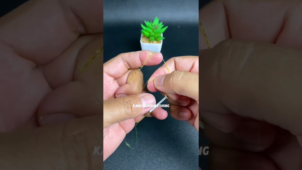 Top 5 Essential Fishing Knots Every Serious Angler Needs to Know