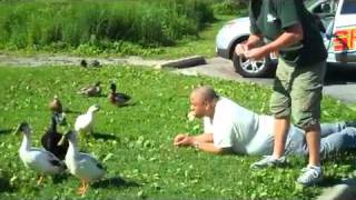 C-Note Feeds the Ducks