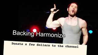Owl City - Fireflies (Backing Harmony vocals)