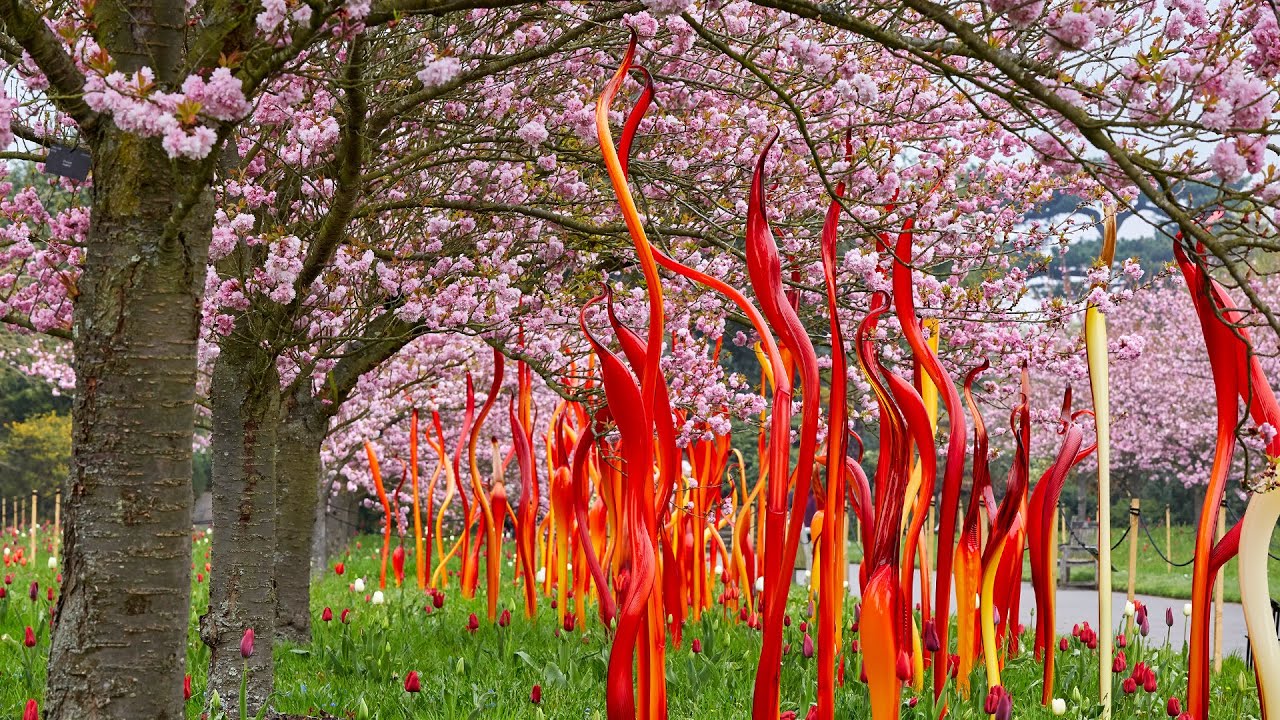Chihuly at Kew: Reflections on nature