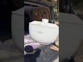 Easy Cooking While Living In My Honda Element