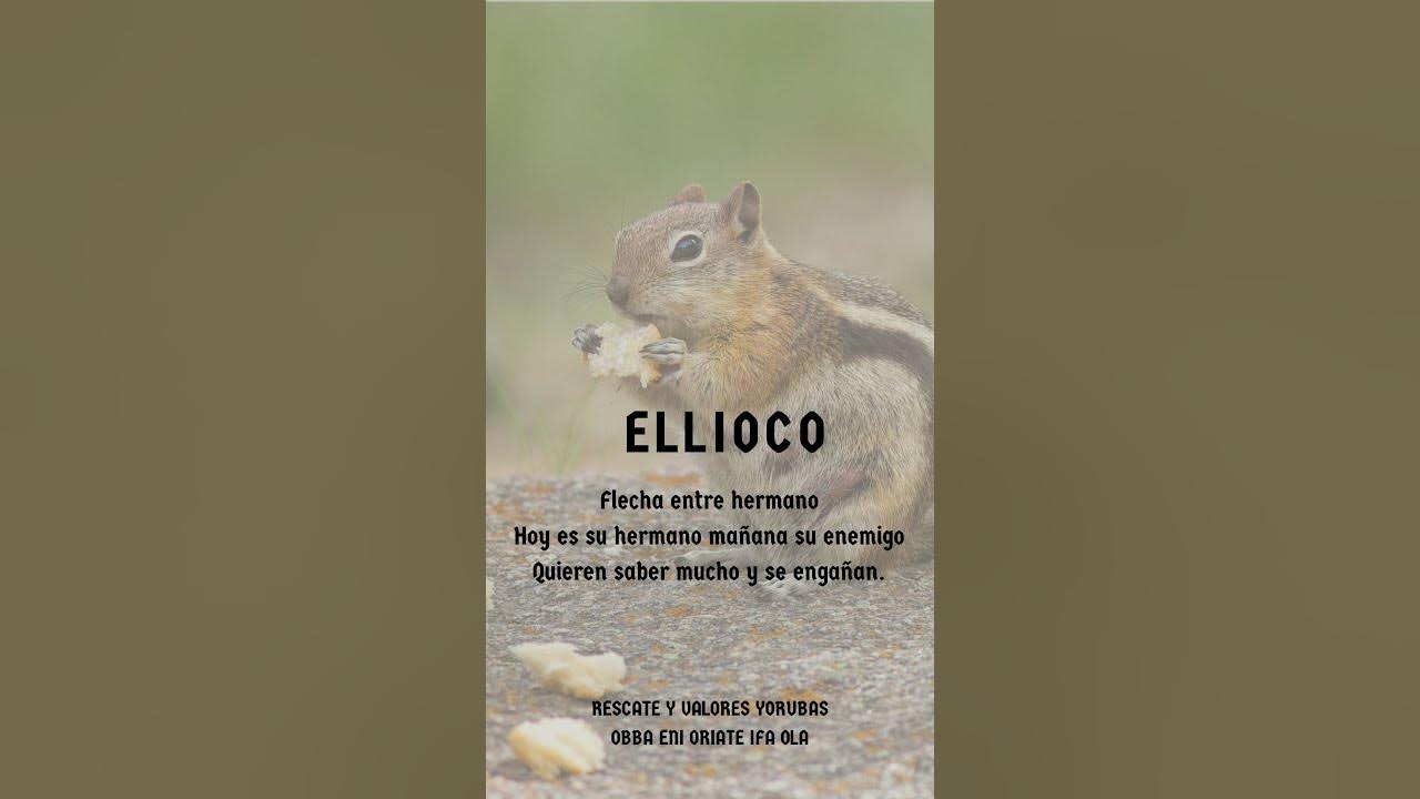 Aprendiendo el Oddun (2 Eyioko) YouTube